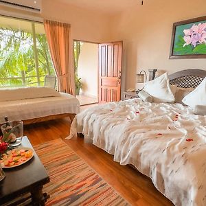 Junior Suite Sea View
